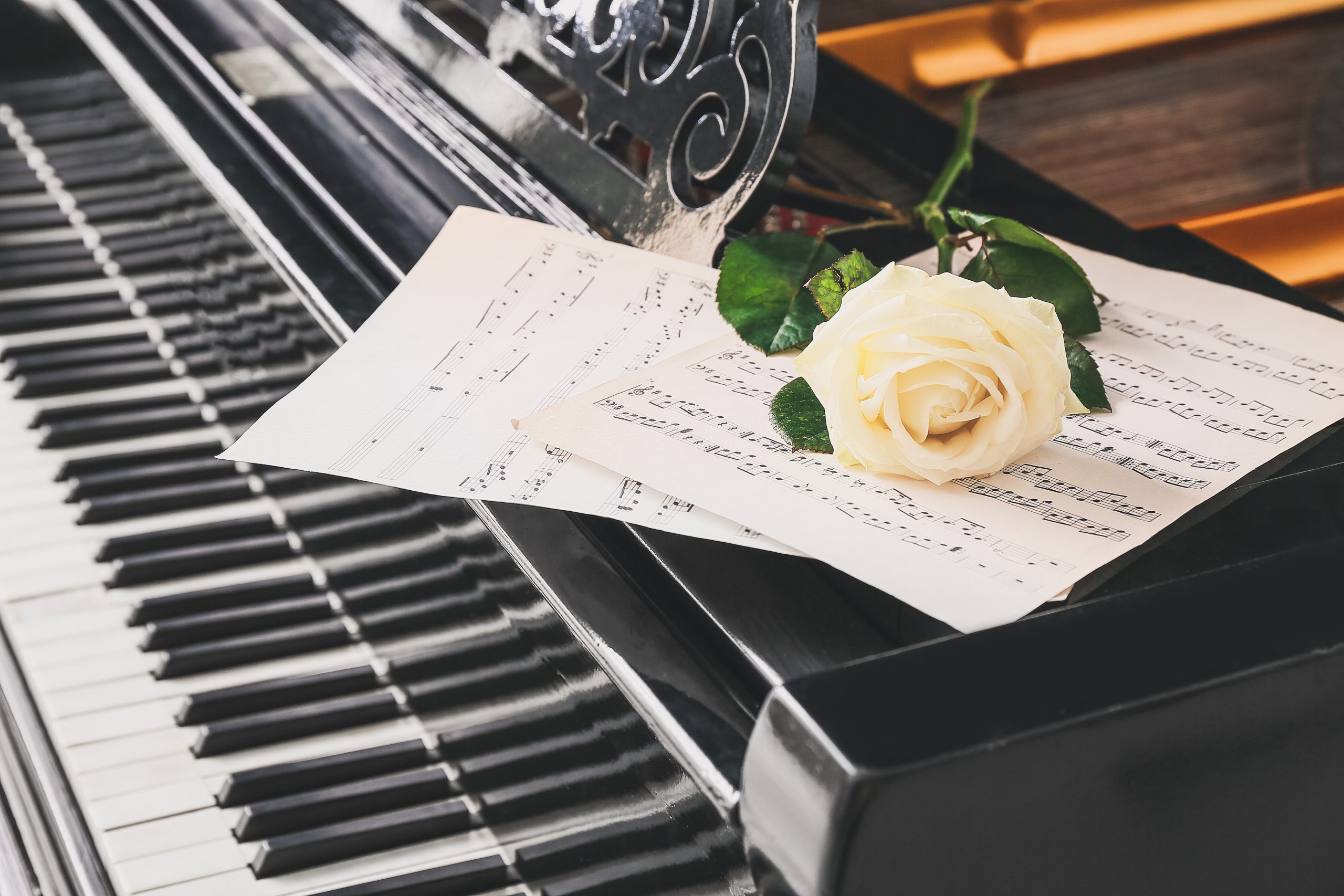 Song List beautiful rose and note sheets on grand piano, closeup